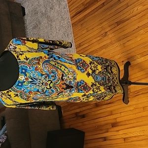 A beautiful multicolor Sandra Darren Dress